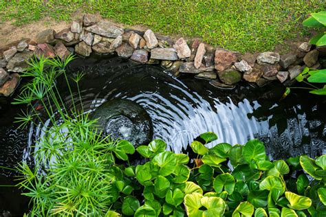 A Guide To Designing A Tropical Landscape Install It Direct