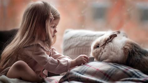Cute Girl Playing With Rabbit Wallpapers Hd Wallpapers