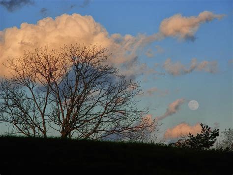 Full Moon Over The Vt At Photograph By Raymond Salani Iii Fine Art