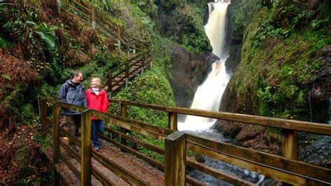 Glenariff Forest Park Cargan Causeway Coast And Glens