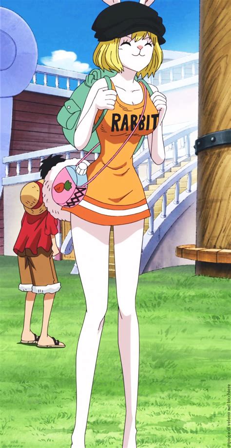 Goccedivelenonelbicchiere Carrot Una Pieza One Piece Manga Personajes De One Piece
