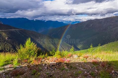 Mountain Landscape Pine Trees Near Valley And Colorful