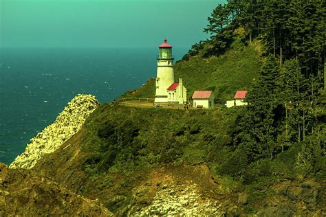 Heceta Head Lighthouse Photograph By Bret Varcados Pixels