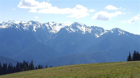A Stunning View At Hurricane Ridge In Olympic National Park