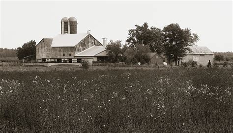 Mennonite Farm Brown And White Field Photograph By Susan Arness