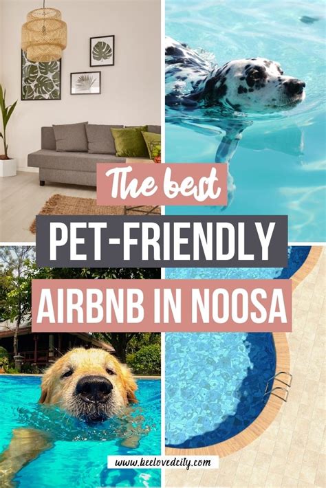 The primary being the flooring. 12 Best Pet-Friendly Airbnb in Noosa, Queensland ...