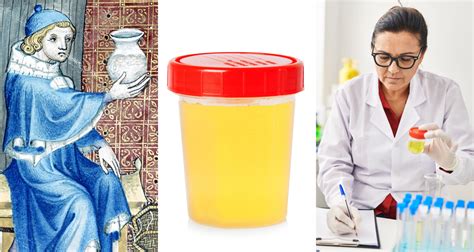 the power of pee odd uses for urine