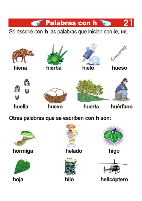 Los Linces Del Balmes Regla Ortográfica Palabras Con H