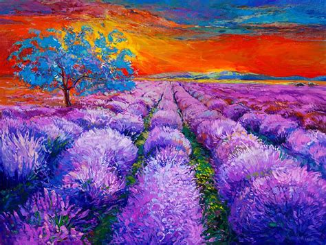 16 Lavender Fields Boyan Dimitrov 900×679 Abstract Art