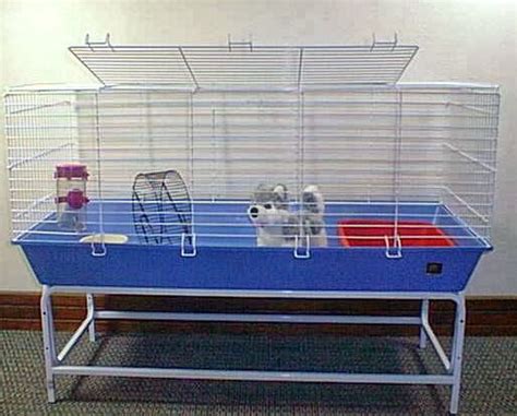 Lovely Cute Pets Appropriate Guinea Pig Cages