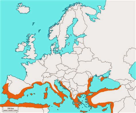 Imparare Con La Geografia 13 La Regione Mediterranea