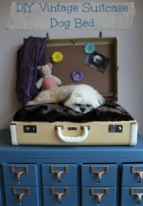 Diy Vintage Suitcase Dog Bed Petguide
