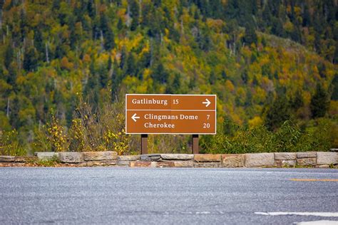 Newfound Gap Road Review With Photos And Insider Tips