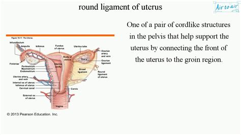 Round Ligament Of Uterus Youtube