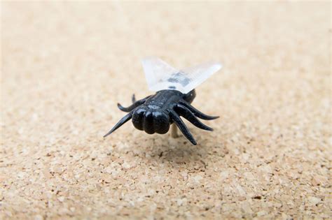 Fly Push Pins On Behance