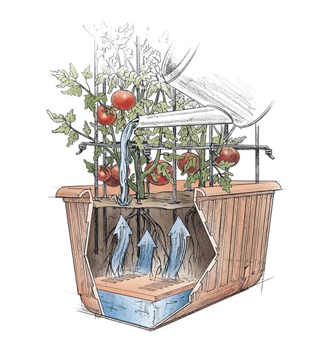 Self Watering Tomato Planter And Rust Resistant Tower Plow And Hearth