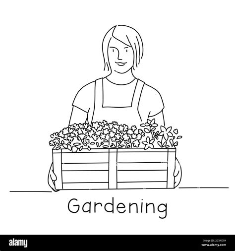 Line Drawing Of Gardener Woman Girl With A Box Of Flowers Vector
