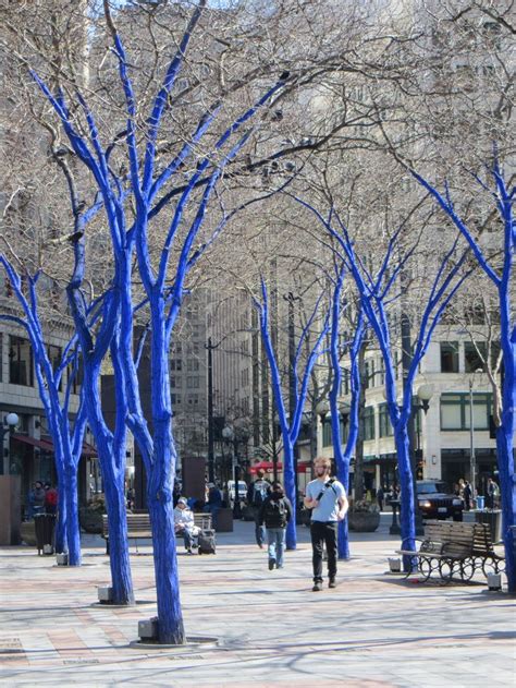 Blue Trees In Seattle Washington