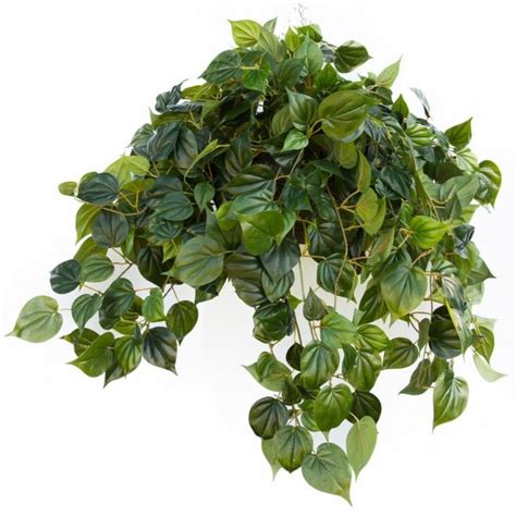 Artificial Tropical Ivy Hanging Plant By Evergreen Direct