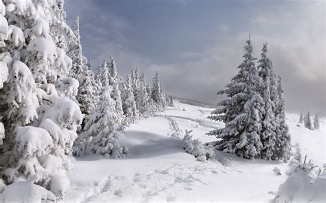 Nature Landscapes Winter Snow Seasons Trees Mountains Sky