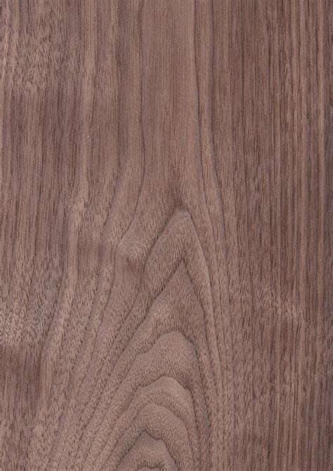 American Walnut Wood Veneer