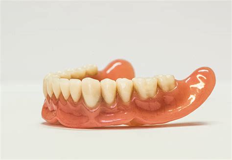 Dentures Side View White Human Teeth Stock Photos Pictures And Royalty