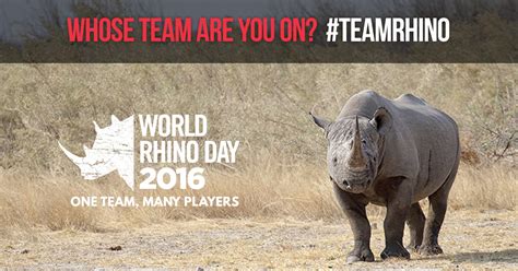 Happy World Rhino Day International Rhino Foundation