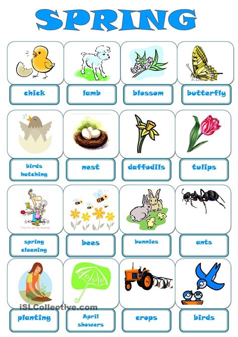 Spring Pictionary Spring Worksheet Spring Vocabulary Vocabulary