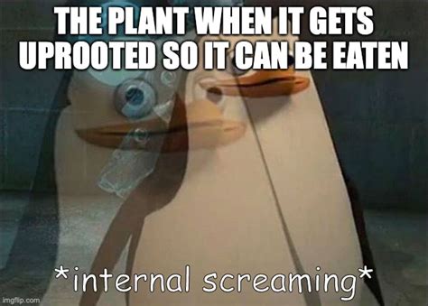 Reason Why Vegans Like Plants Is That Plants Dont Scream Imgflip