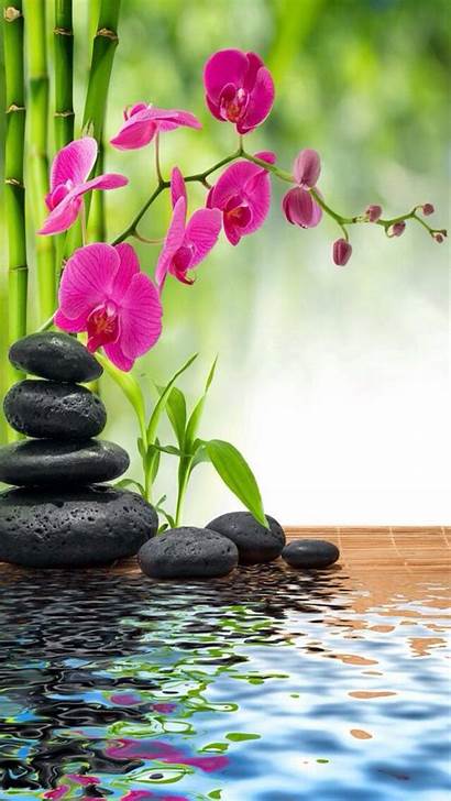 Zen Relaxing Spa Wallpapers Orchid Backgrounds Bamboo