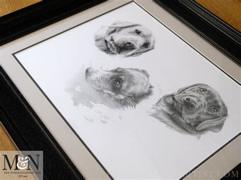 Triple Dog Pencil Portrait Melanie And Nicholas Pet Portraits