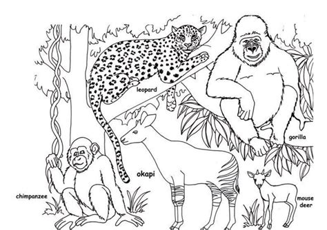 Wild Animal Coloring Page Free Quality Coloring Page Coloring Home