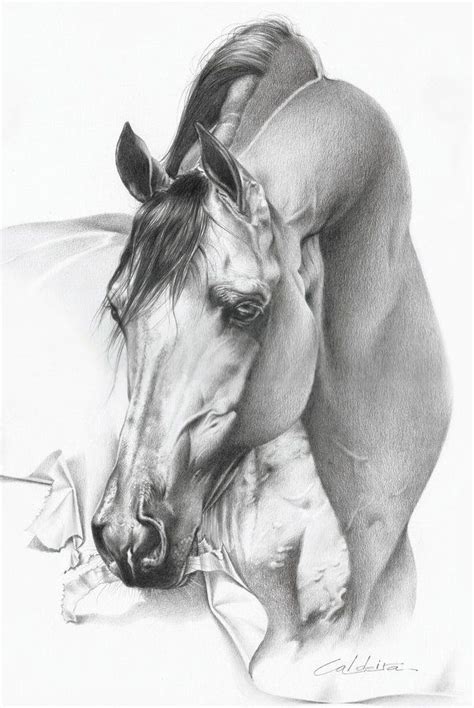 What An Amazing Drawing Pencil Drawings Of Animals Horses Horse