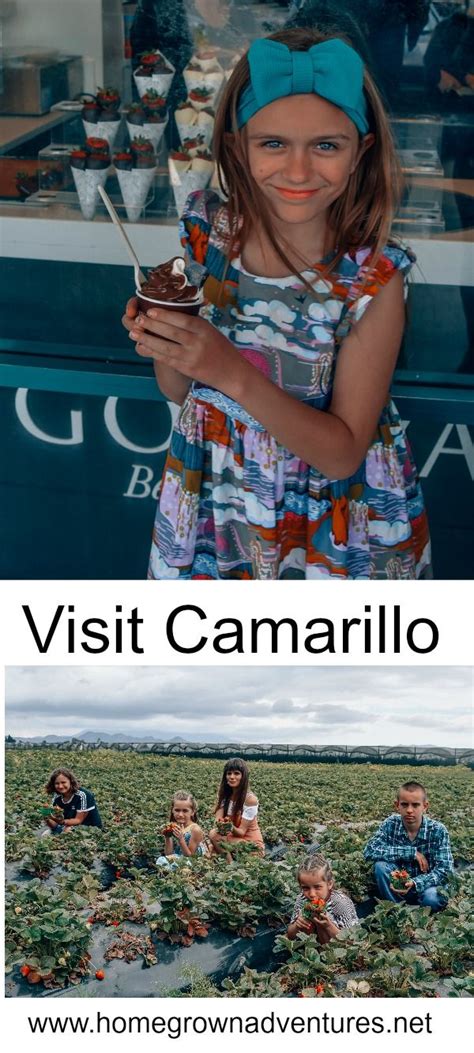 Visit Camarillo Camarillo Usa Travel Guide United States Travel