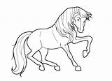 Coloring Horse Draft Horses sketch template