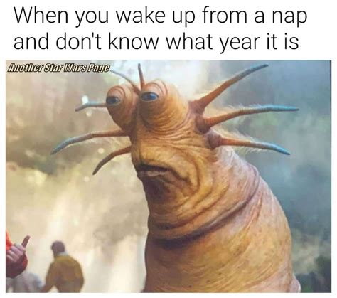 If You Dont Wake Up Confused It Wasnt A Good Nap Rsequelmemes