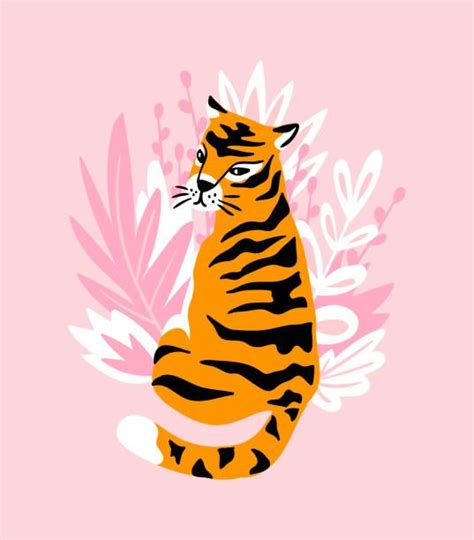 Best India Tiger Illustrations Royalty Free Vector Graphics And Clip Art