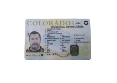 Colorado Fake Driver License Buy Scannable Co Dl Online 1