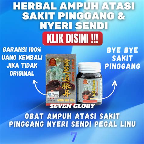 Jual Obat Sakit Pinggang Linzi Dong Mai Dan Original 100 Bpom Rematik