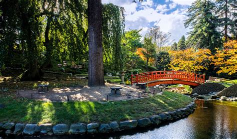 D Couvrez Les Plus Incroyables Jardins Japonais De Paris