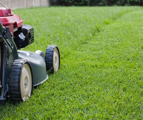 Summer Lawn Mowing Tips Nc Cooperative Extension