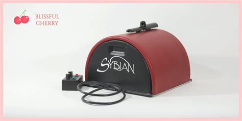 The Sybian A Sex Machine For Women