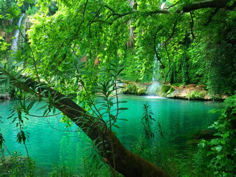 Kurşunlu Waterfall Pine Forest Turquoise Green Water In The Province