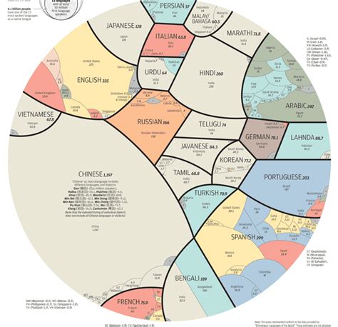 this infographic shows the most popular languages around the world freeyork