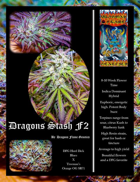 Dragons Stash Dragons Flame Genetics Cannabis Strain Info