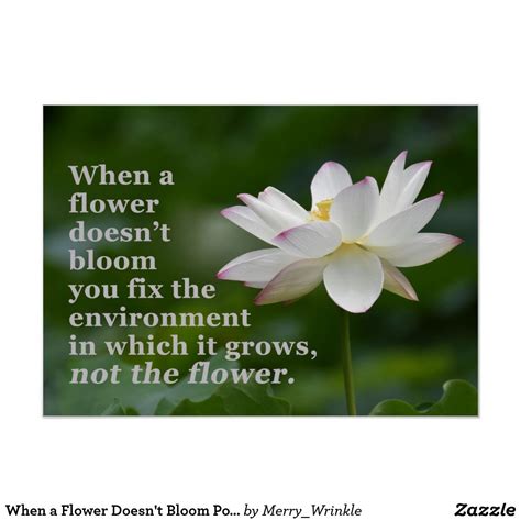 When A Flower Doesn T Bloom Poster Zazzle In 2021 Quotes About