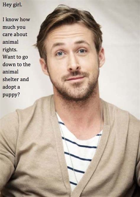 Puppies Best Ryan Gosling Memes Of All Time Hey Girl Ryan Gosling