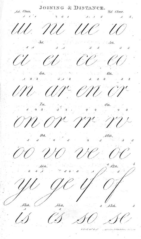 Practicing Penmanship Learning Lower Case Letters Copperplate