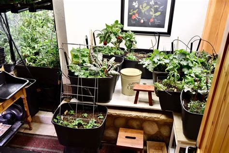 The Ongoing Adventures Of An Indoor Gardener Compared Directly To