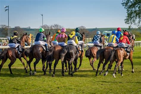 Plumpton Racecourse 2021 All You Need To Know Before You Go With